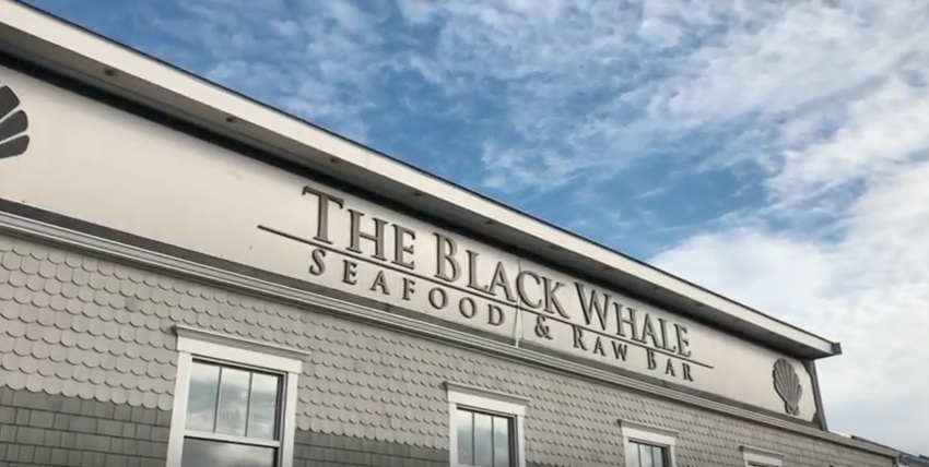 The Black Whale | Partners of Lapointe